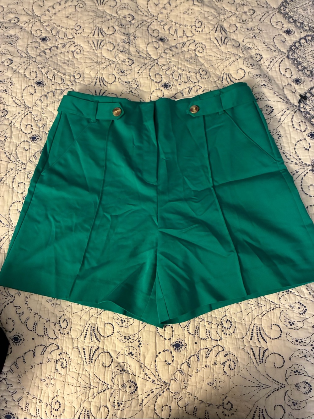 Chico's Fly Front A Line Short - Eden Green